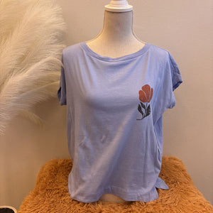 Anthropologie- Small
