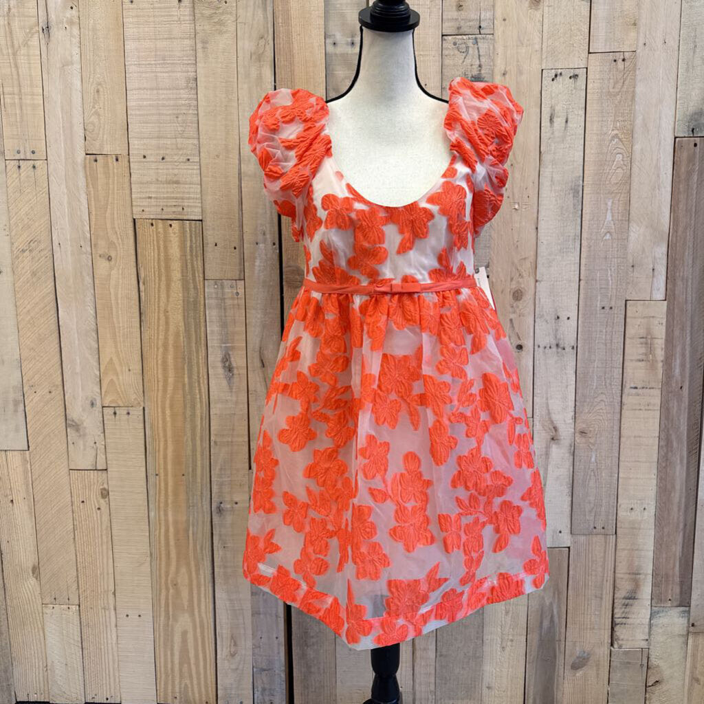 Anthropologie - Medium